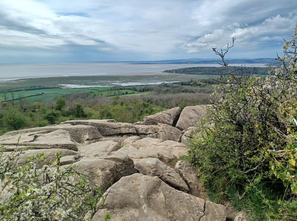 Warton Crag Nature Reserve