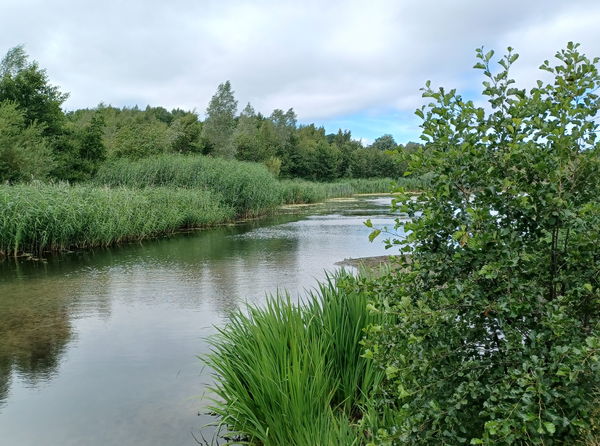 Watergate Forest Park