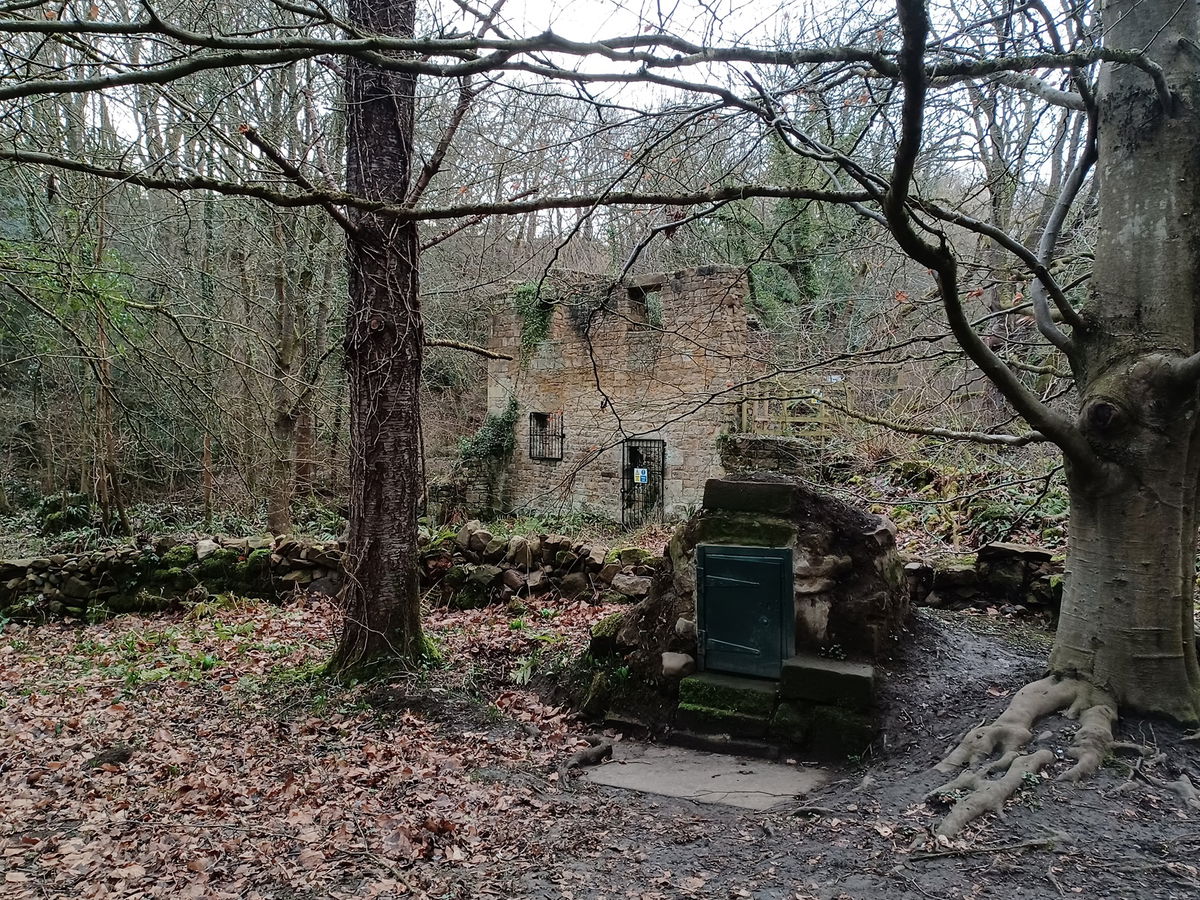 Whittle Mill In Ovingham Fabulous North