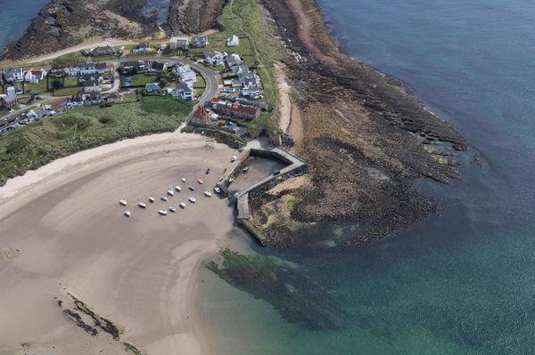 Friends of Jesmond Old Cemetery