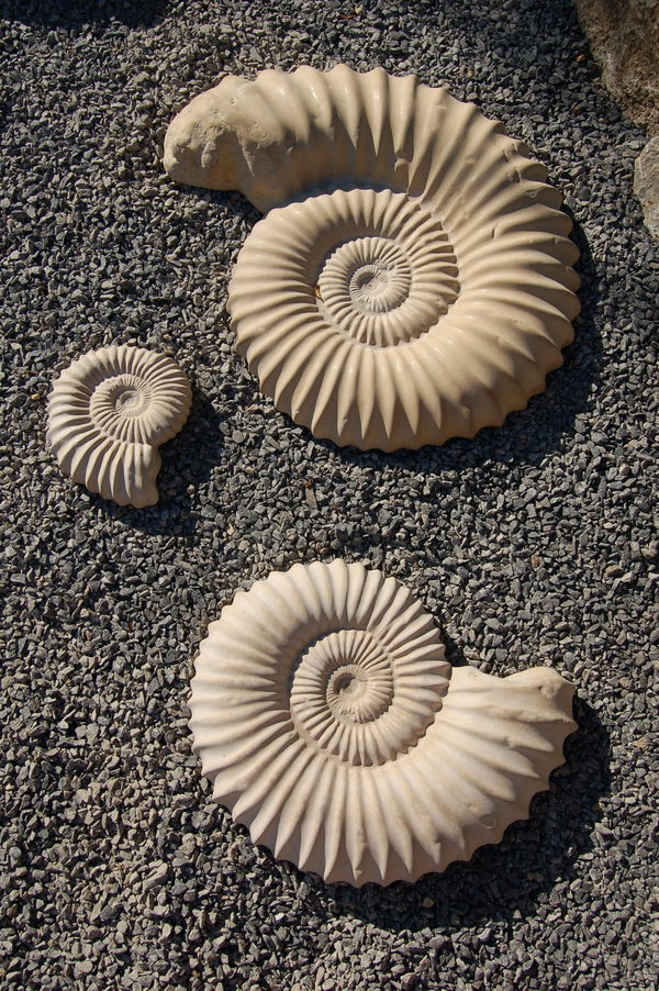 Playground Sculptures