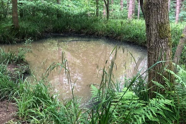 Chopwell Woods bomb ponds