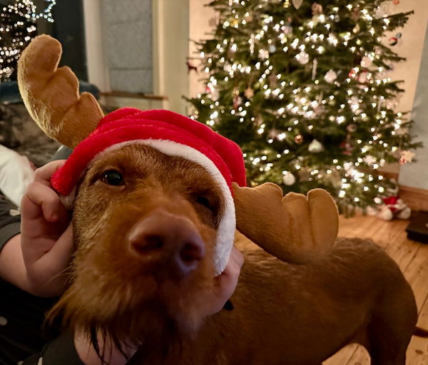 Bays Leap Organic Dairy Farm