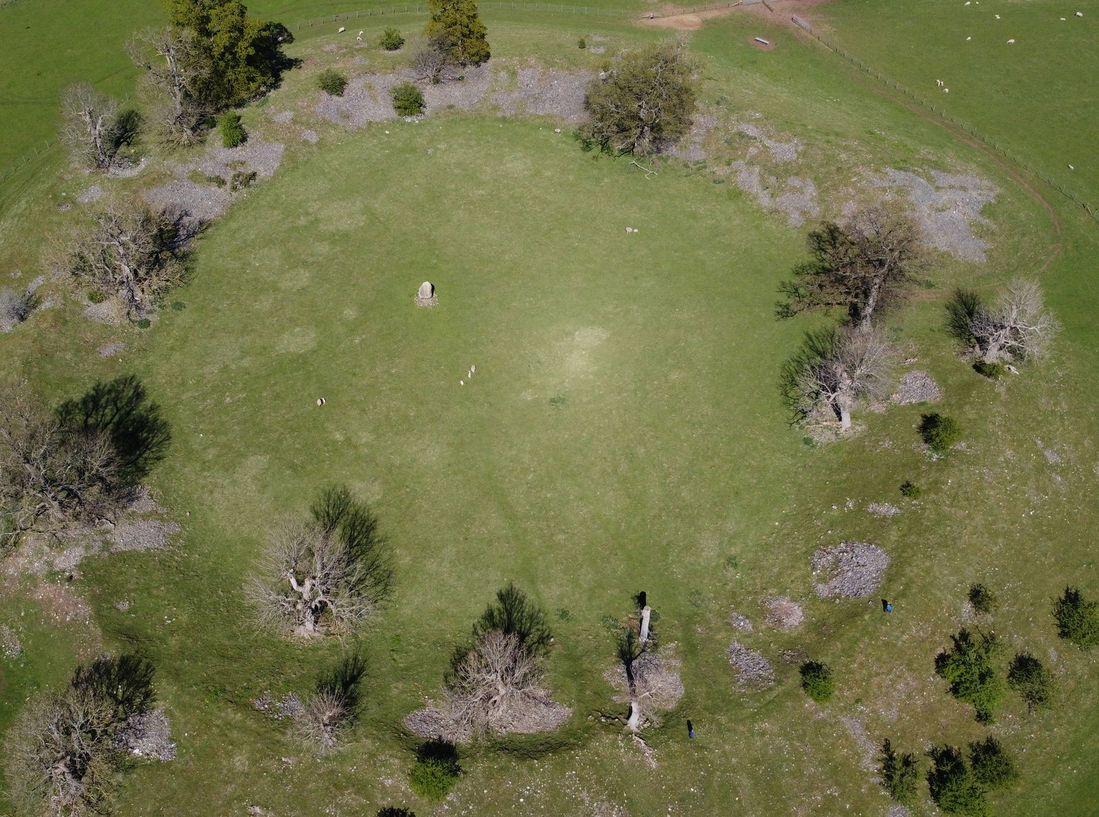 Henges