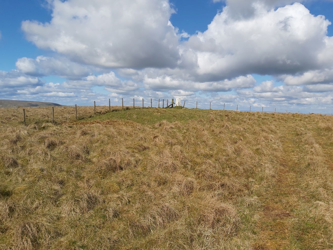 Hungry Law trig point