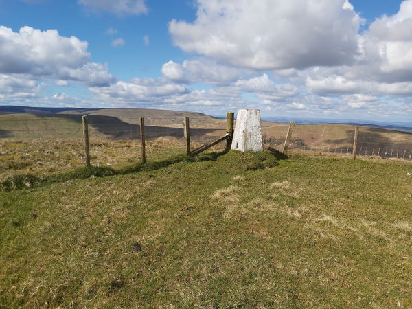 Hungry Law trig point