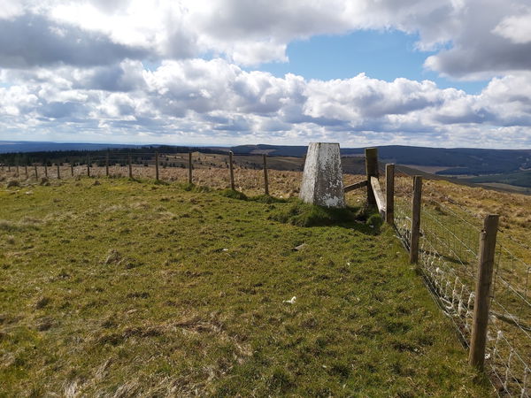 Hungry Law trig point