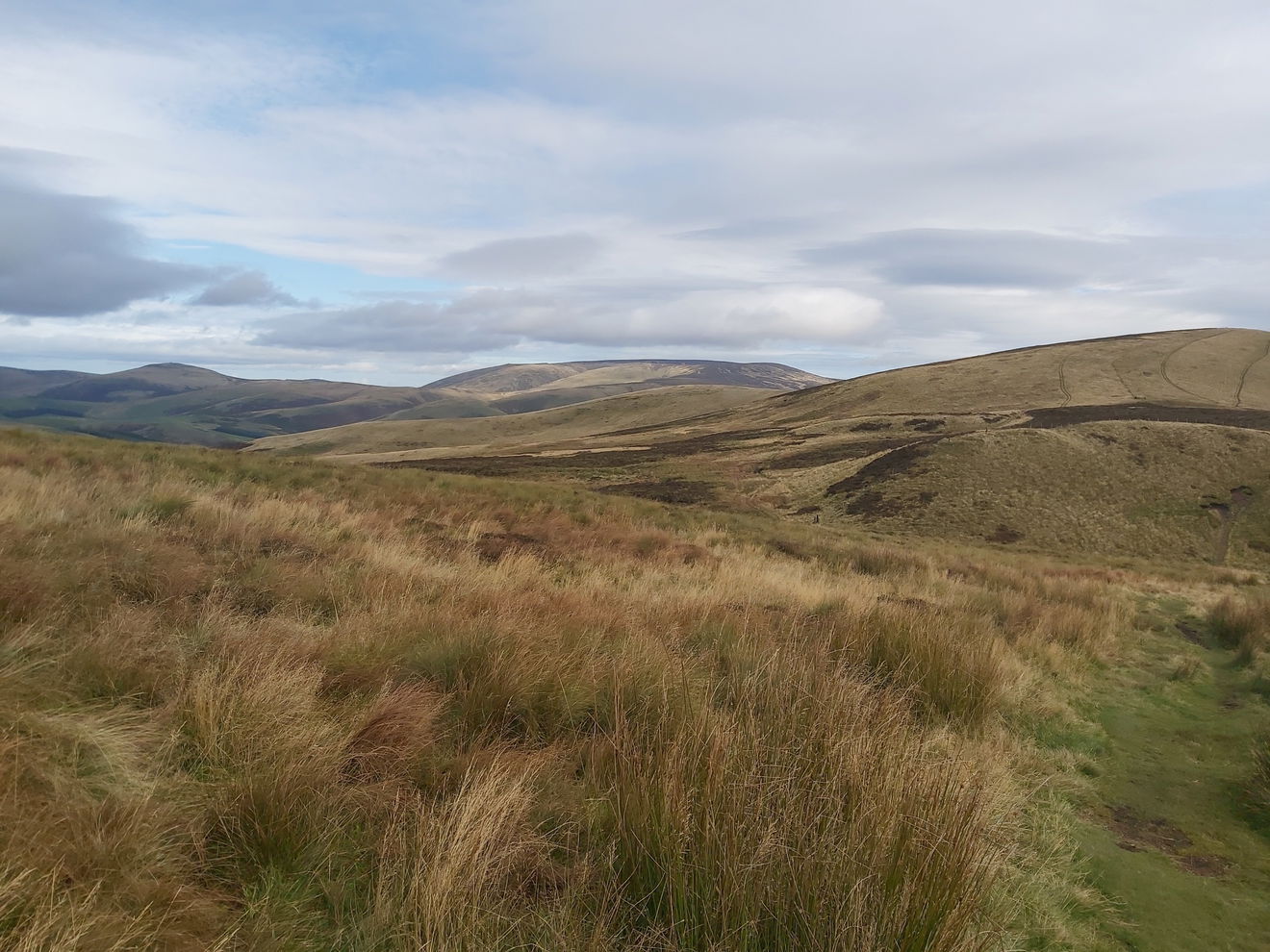 The Cheviot 99