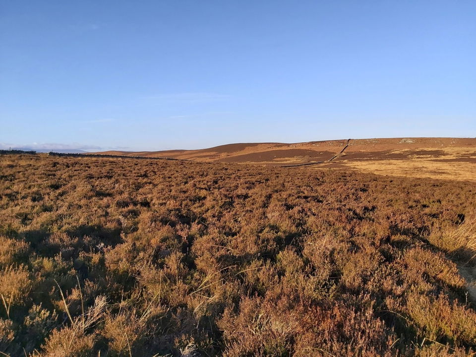 Walk To Bewick Moor, Cateran Hole, Ros Castle And Blawearie In ...