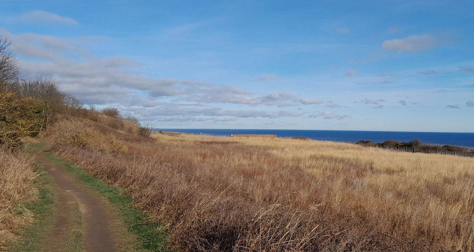 Walk Around Hawthorn Woods, Meadow And Dene In Seaham Fabulous North