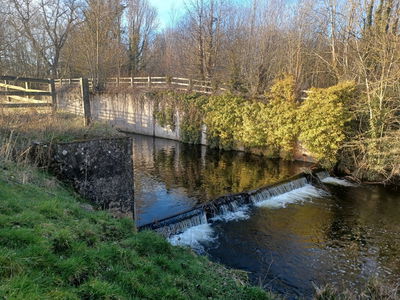 Walk Around Whittle Dene Reservoir In Ovingham - Fabulous North