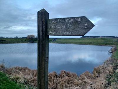 Walk Around Whittle Dene Reservoir In Ovingham - Fabulous North