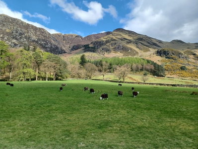 Buttermere Loop In The Lake District - Fabulous North