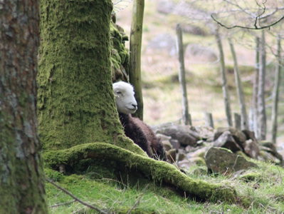 Buttermere Loop In The Lake District - Fabulous North