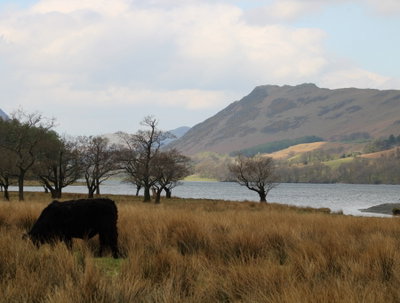 Buttermere Loop In The Lake District - Fabulous North