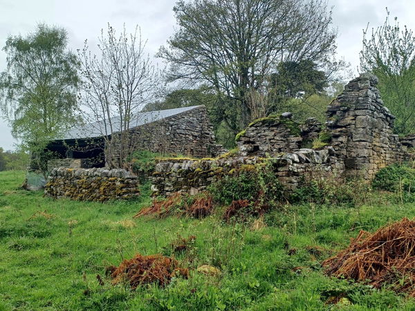 Walk To Dukesfield Arches And Devil's Water In Hexham - Fabulous North