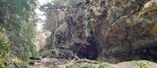 Castle Eden Dene (West Side)