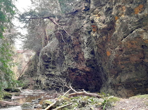 Castle Eden Dene (West Side)