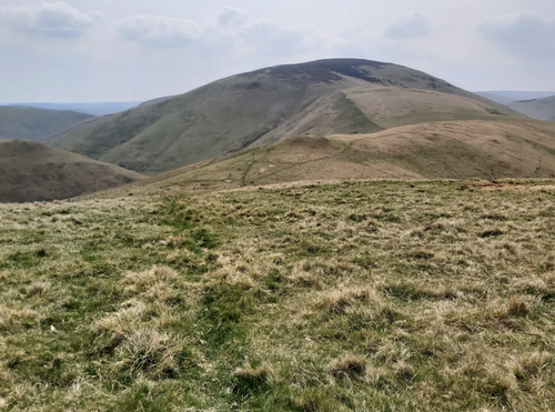 Clennell Street And Shillhope Law