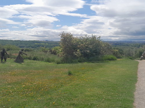 Low Burnhall Nature Reserve