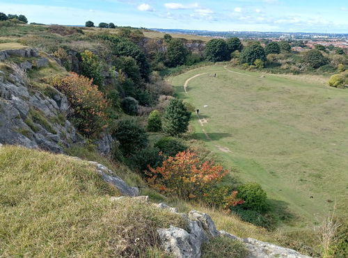 Marsden Quarry Nature Reserve and Cleadon Hills