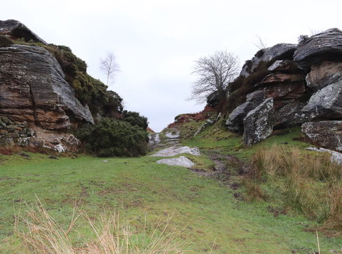 Shaftoe Crags