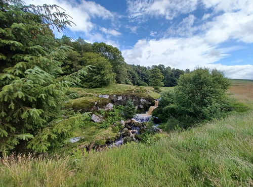 Stonehaugh Circular