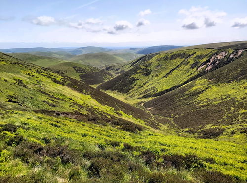 Yearning Law, Border Ridge To Windy Gyle