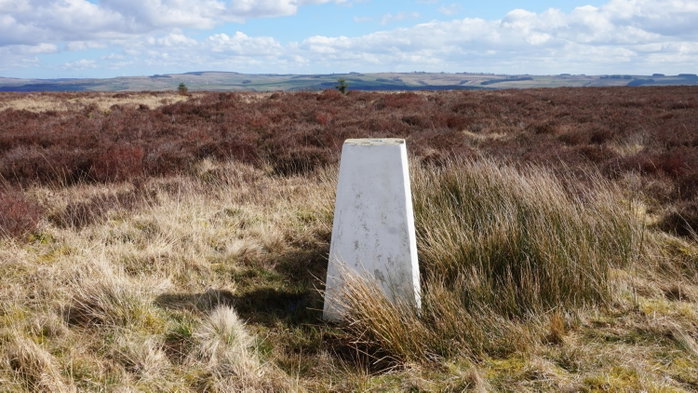 Ealingham Rigg Trig Point In Bellingham - Northumberland Trig Points