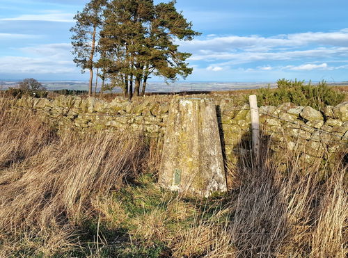 Barley Hill Trig Point