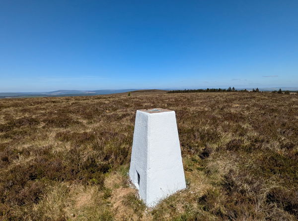 Black Knowe Trig Point