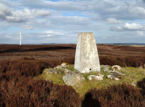 Blackdown Trig Point