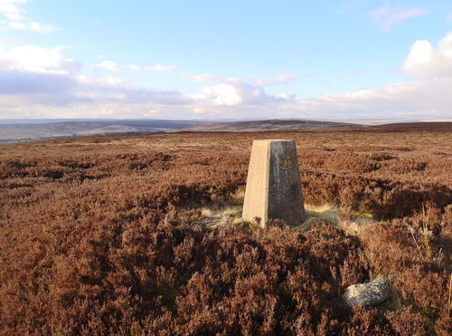 Blackmoor Skirt Trig Point