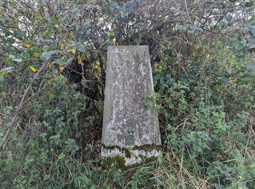 Bowsden West Trig Point