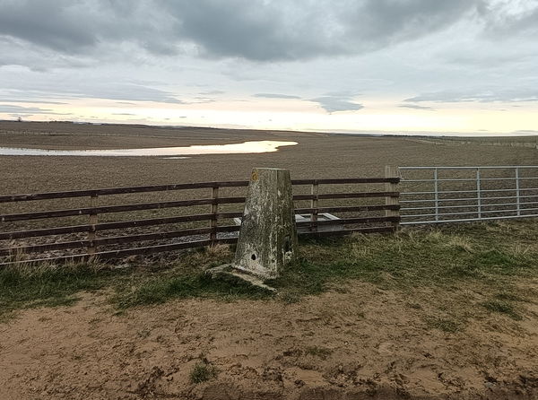 Brenkley Hill Trig Point