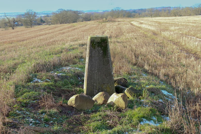 Broom Hill Trig Point In Belsay - Northumberland Trig Points