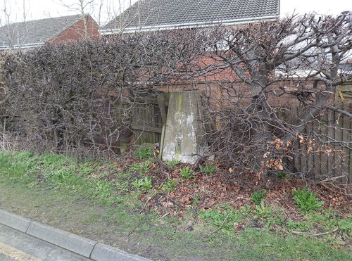 Brunton Bridge Farm Trig Point