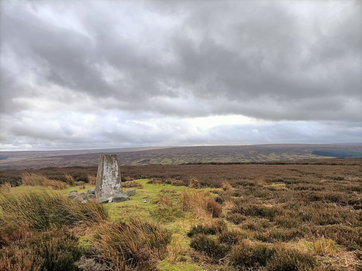 Bulbeck Common Trig Point In Blanchland - Northumberland Trig Points