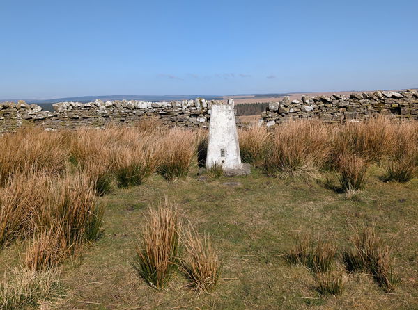 Burn Divot Trig Point