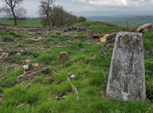 Burradon Mains Trig Point