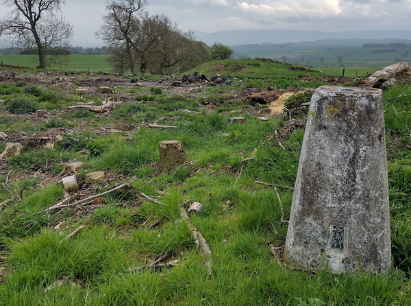 Burradon Mains Trig Point