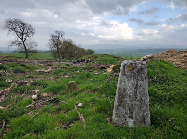 Burradon Mains Trig Point