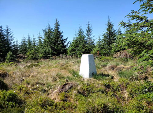 Cairnglastenhope Trig Point