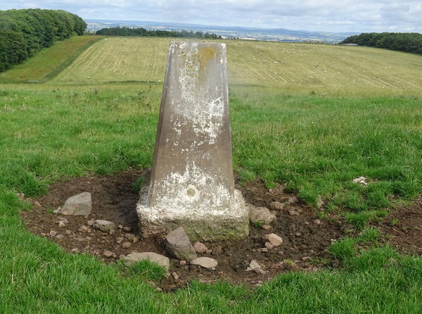 Camp Hill Trig Point