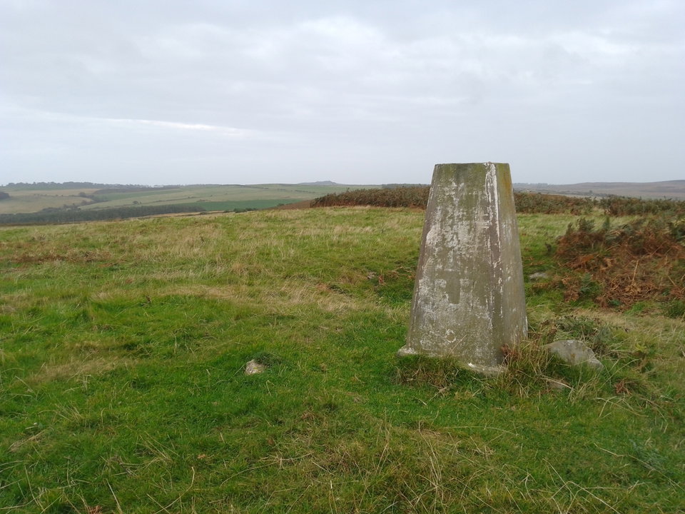 Chatton Park Hill Trig Point Near Chillingham - Fabulous North