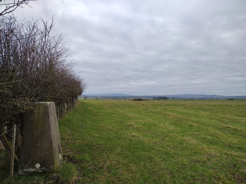 Cheeveley Trig Point In Eshott - Northumberland Trig Points