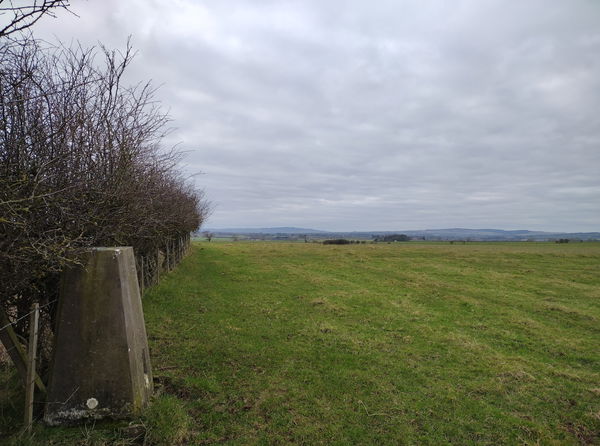 Cheeveley Trig Point