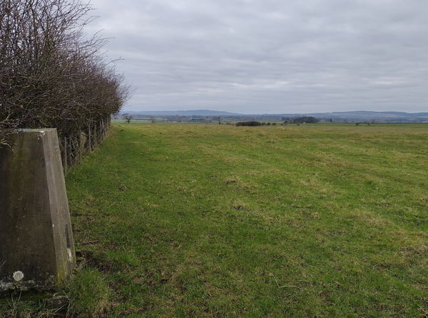 Cheeveley Trig Point