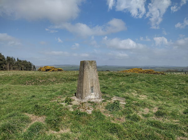 Chester Hill Trig Point