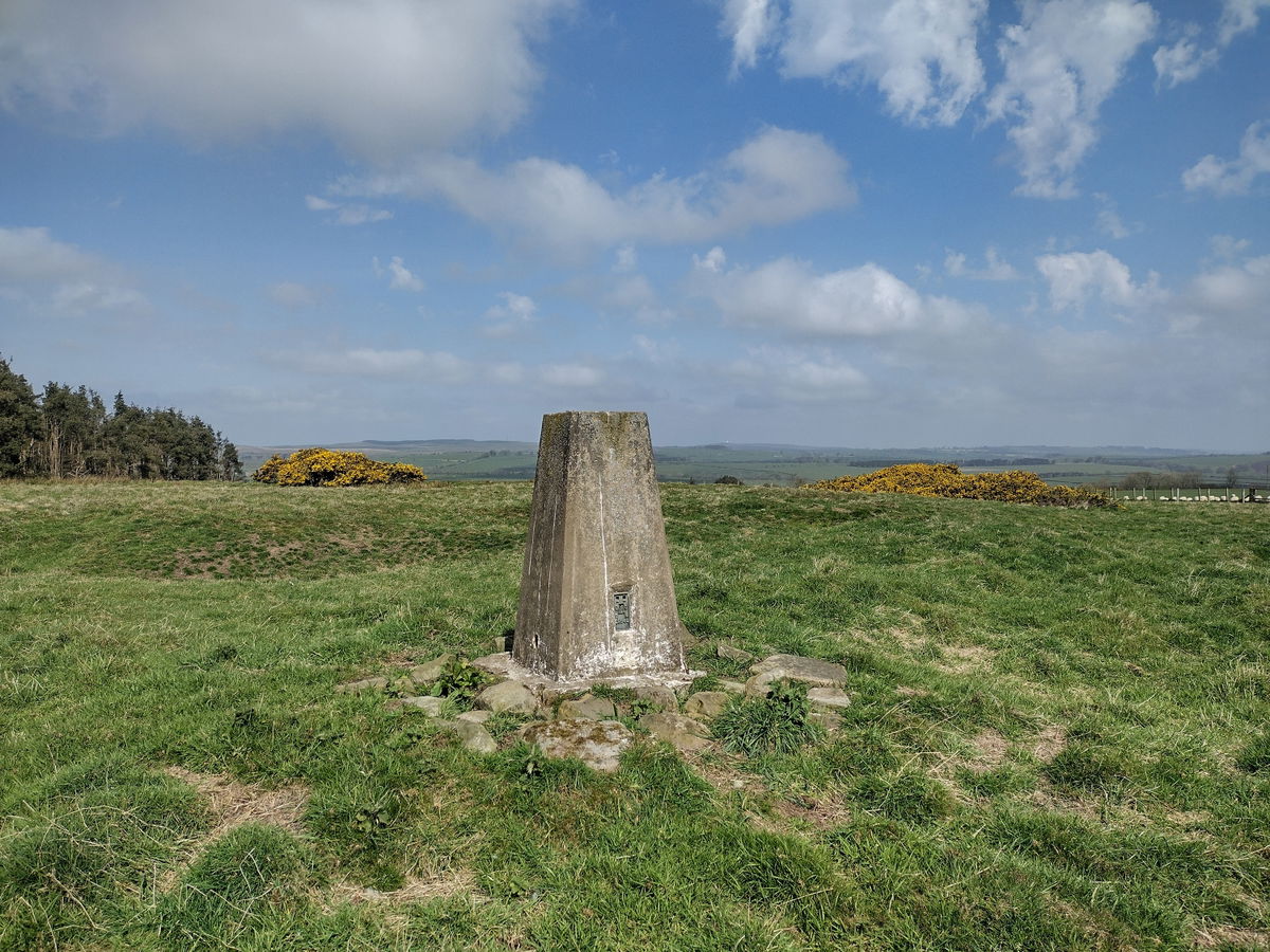 Chester Hill Trig Point In Swarland - Northumberland Trig Points